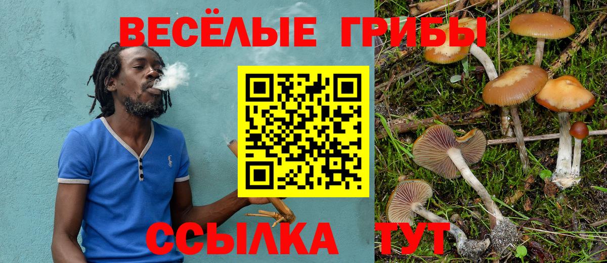 Галлюциногенные грибы Magic Shrooms  Вход с VPN  Волжск 