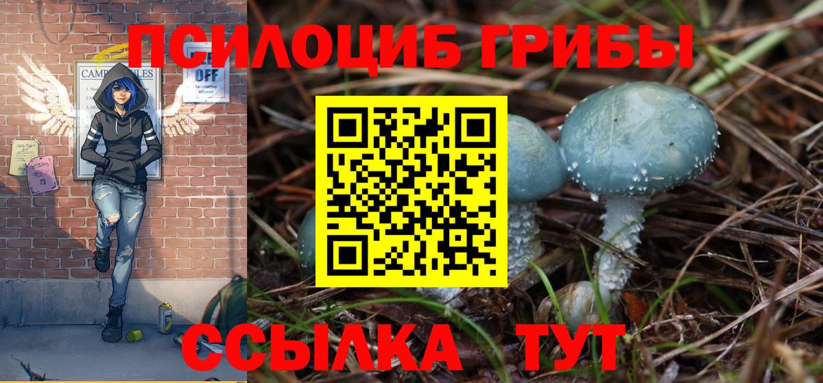 Галлюциногенные грибы MAGIC MUSHROOMS Волжск
