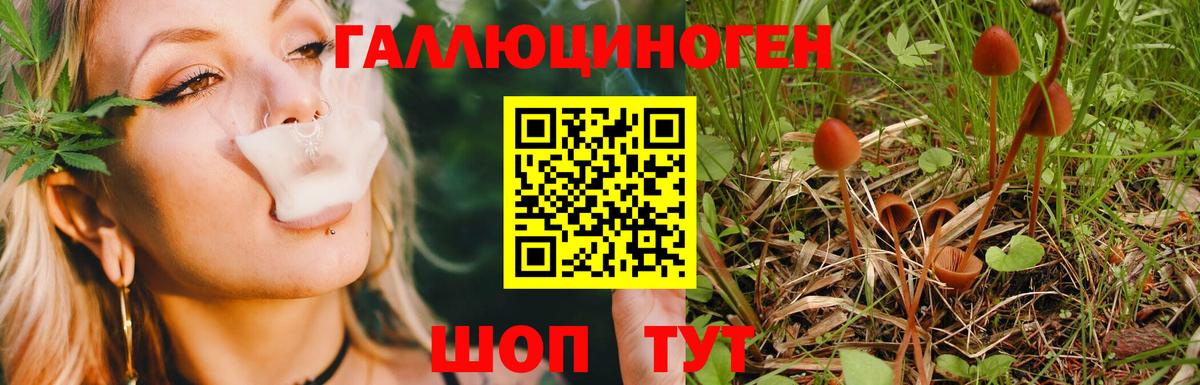 Экстази Волжск